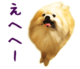 Pomeranian Junco real sticker #9522997