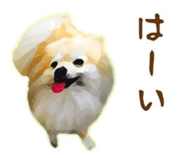 Pomeranian Junco real sticker #9522998