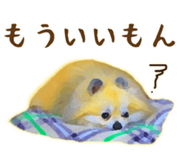 Pomeranian Junco real sticker #9523000