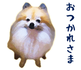 Pomeranian Junco real sticker #9523001