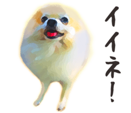 Pomeranian Junco real sticker #9523003