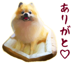 Pomeranian Junco real sticker #9523004