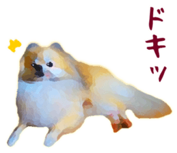 Pomeranian Junco real sticker #9523005