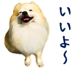 Pomeranian Junco real sticker #9523008