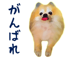 Pomeranian Junco real sticker #9523010