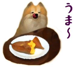 Pomeranian Junco real sticker #9523014