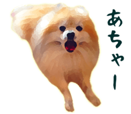 Pomeranian Junco real sticker #9523017