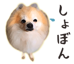 Pomeranian Junco real sticker #9523019