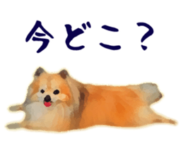 Pomeranian Junco real sticker #9523021