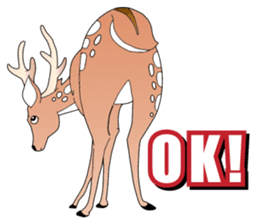 Deer! Friends sticker #9524735
