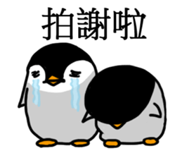 Pinnco Rabbit sticker #9525375