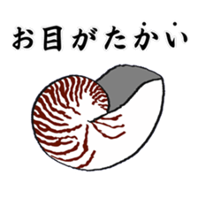 Jokes of the shell sticker #9525512