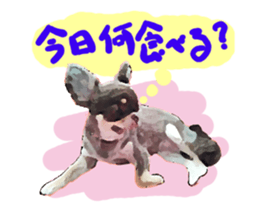 StickerChihuahua1 sticker #9526066