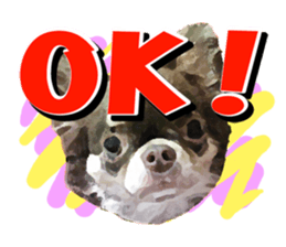 StickerChihuahua1 sticker #9526069