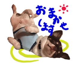 StickerChihuahua1 sticker #9526070