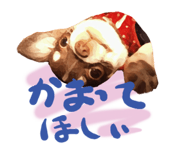 StickerChihuahua1 sticker #9526074