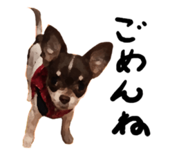 StickerChihuahua1 sticker #9526075