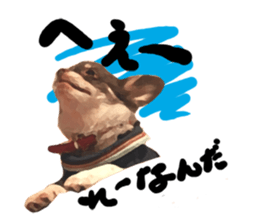StickerChihuahua1 sticker #9526077