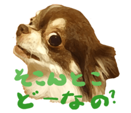 StickerChihuahua1 sticker #9526078