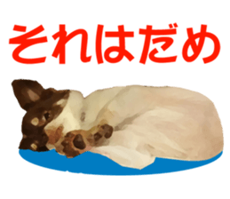 StickerChihuahua1 sticker #9526079