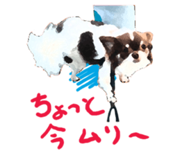 StickerChihuahua1 sticker #9526080