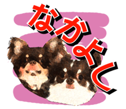 StickerChihuahua1 sticker #9526082