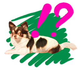 StickerChihuahua1 sticker #9526087