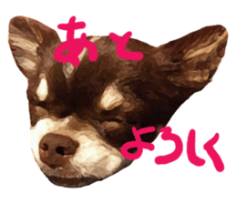 StickerChihuahua1 sticker #9526088