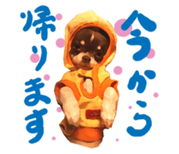 StickerChihuahua1 sticker #9526092