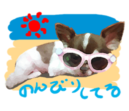 StickerChihuahua1 sticker #9526095