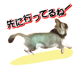 StickerChihuahua1 sticker #9526097