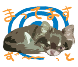 StickerChihuahua1 sticker #9526098