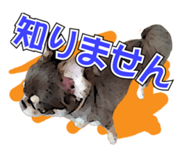 StickerChihuahua1 sticker #9526099