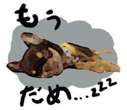 StickerChihuahua1 sticker #9526101