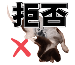 StickerChihuahua1 sticker #9526102