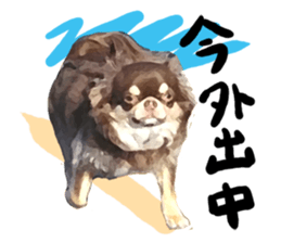 StickerChihuahua1 sticker #9526103