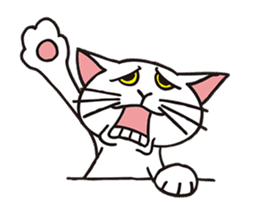 FoolishButPrettyWhiteCat&SexyBlackCat sticker #9526108