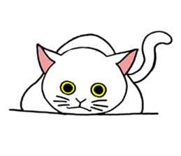 FoolishButPrettyWhiteCat&SexyBlackCat sticker #9526121