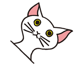 FoolishButPrettyWhiteCat&SexyBlackCat sticker #9526122