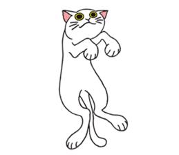 FoolishButPrettyWhiteCat&SexyBlackCat sticker #9526127