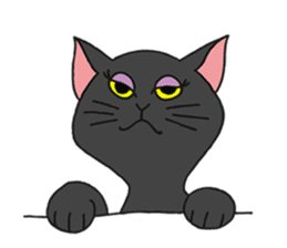 FoolishButPrettyWhiteCat&SexyBlackCat sticker #9526140