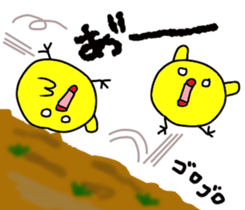 Pretty daily life of chicks and pig sticker #9527009