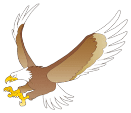 American Eagle sticker #9530225