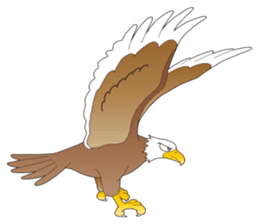 American Eagle sticker #9530230