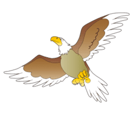 American Eagle sticker #9530231