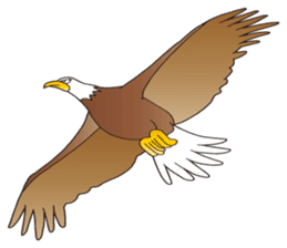 American Eagle sticker #9530233