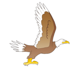 American Eagle sticker #9530234