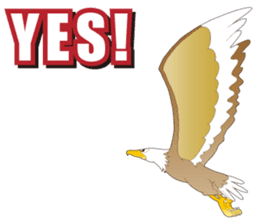 American Eagle sticker #9530249