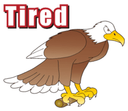 American Eagle sticker #9530258