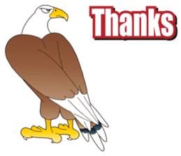 American Eagle sticker #9530260